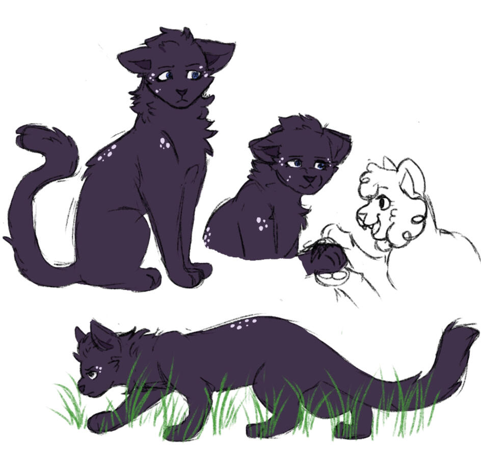 2x Fullbody and 2x Half